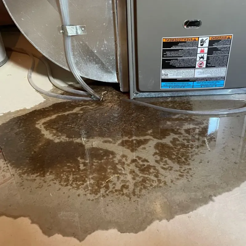 Pipe Burst and Leak Restoration in La Huerta, NM