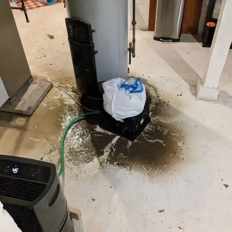 Sewage Backup Cleanup Service in La Huerta, NM